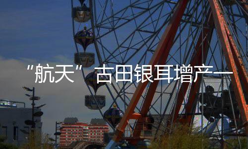 【】银耳古田已开发生产38个菌类