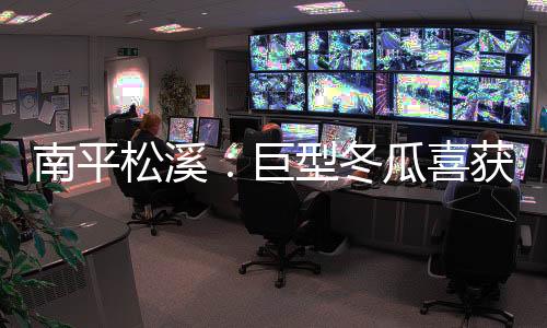 【】南平带领村民增收致富