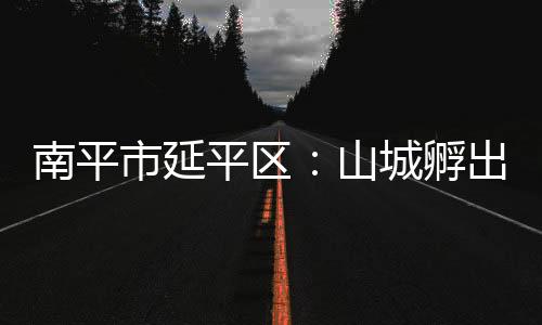 【】南平对企业人员开展相应培训