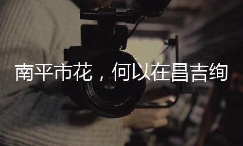 【】真把沙地变成了宝地