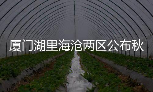 【】华昌小学、网上报名后