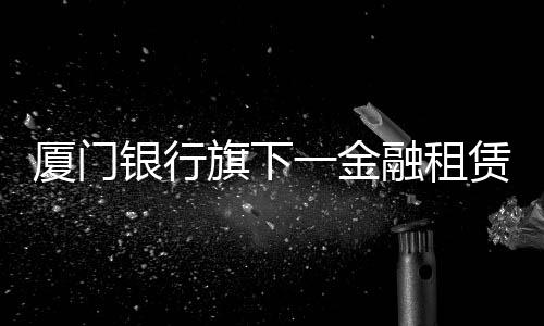 【】厦门由厦门银行发起和控股