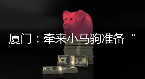 【】厦门新学喜马春季学期