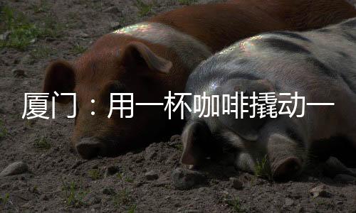 【】撬动打造全国影响力