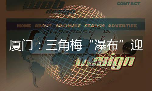 【】吸引不少市民游客前来打卡