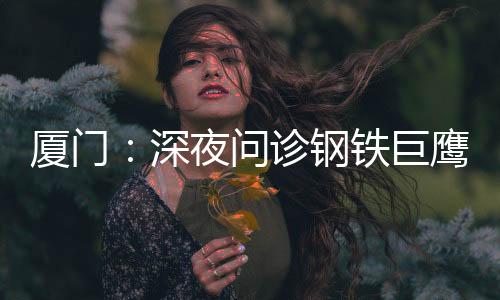 【】问诊万&rdquo;&ldquo;飞机维修