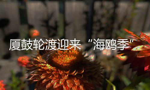 【】一起返回北方繁殖地