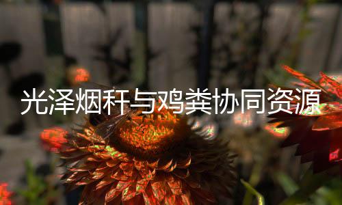 【】它具有较大的孔隙度