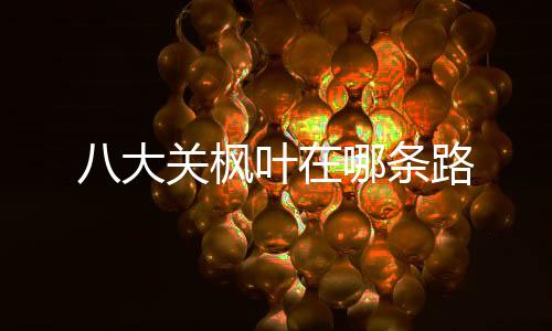 【】紫荆关路、枫叶梧桐树