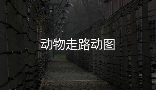 【】里面制作素材里有 抱歉