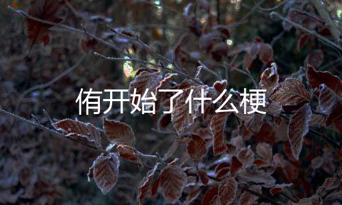 【】” 形声字是侑开...靖康之耻