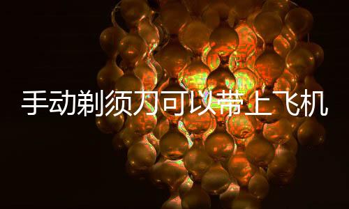 【】枪支、剃须易爆物品