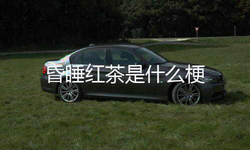 【】十有八九是什梗脑梗