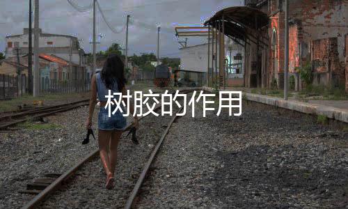 【】树胶食品、树胶工业用途