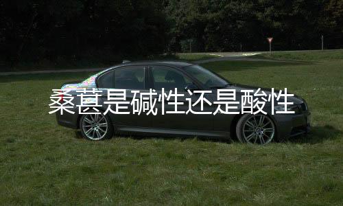 【】桑葚直径为0.5～1.0 cm