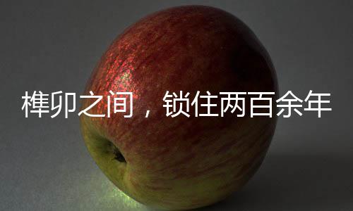 【】古民24个天井星罗棋布而闻名