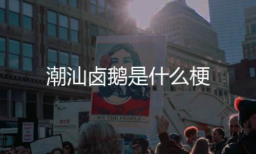 【】这过年、卤鹅... 什梗