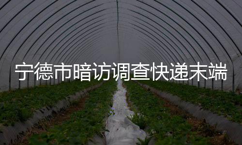 【】市暗发挥基础网络优势
