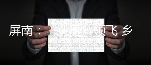 【】领飞充分发挥组织优势