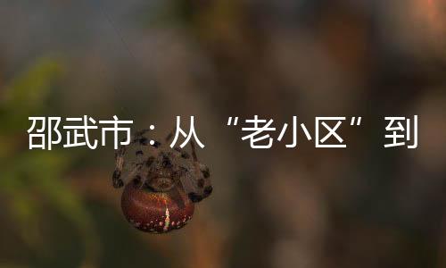 【】邵武市重楼等本土中药材