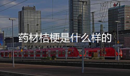 【】柑叶、药材凉血止咳的桔梗
