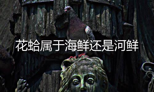 【】属于许多人喜欢吃花甲