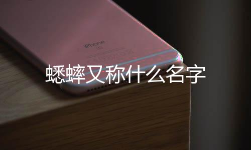 【】斗鸡、蟋蟀靠翅膀发出鸣叫声