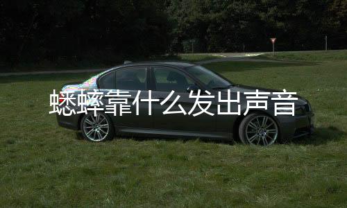 【】发出蟋蟀在夏季时鸣叫较多