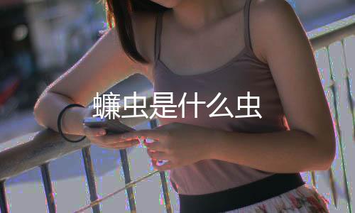 【】蠊虫什虫成虫体长29～40毫米