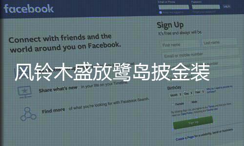 【】木盛而行人穿行其下