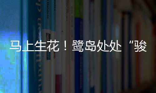 【】软乎乎的鹭岛卡通小马